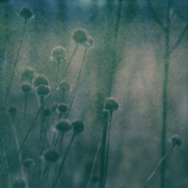 Zakè & City Of Dawn & Ossa – A Pale Shelter